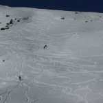 cima iuribrutto 052R
