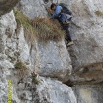 ferrata